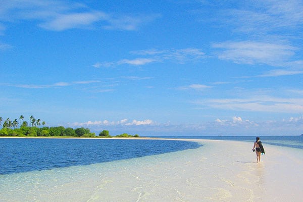 Giorno 11. Bohol: Nuotata con gli squali balena, bagno alle Twin Falls e snorkeling nel banco di sardine