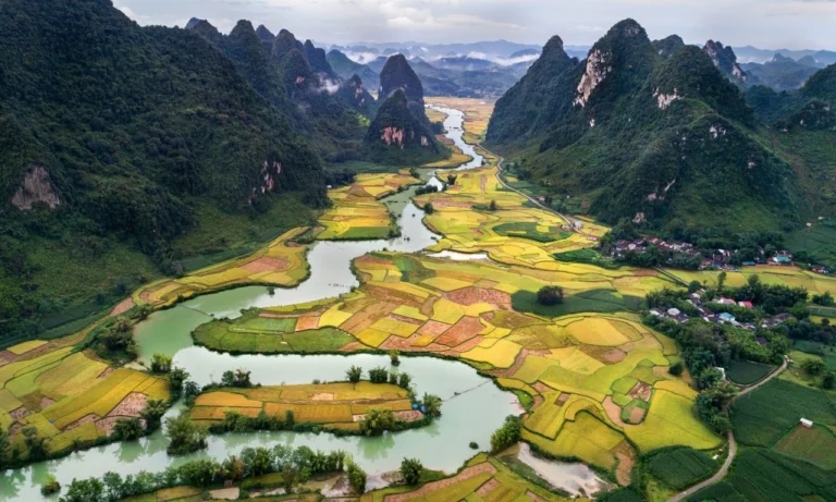 Economia del Vietnam: impatto dei settori