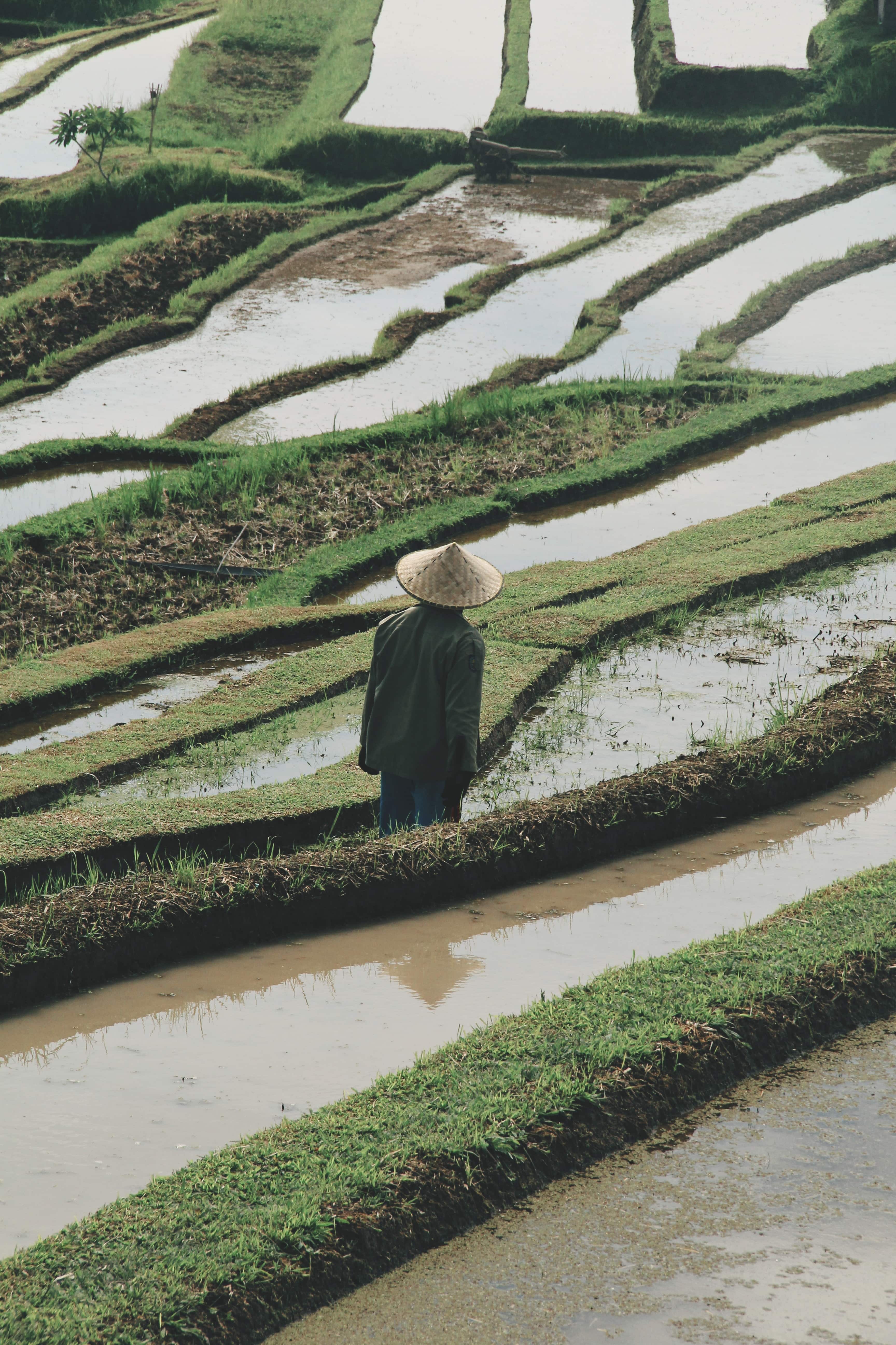 Giorno 7. Kuta: Esperienza in un Villaggio Tradizionale Balinese