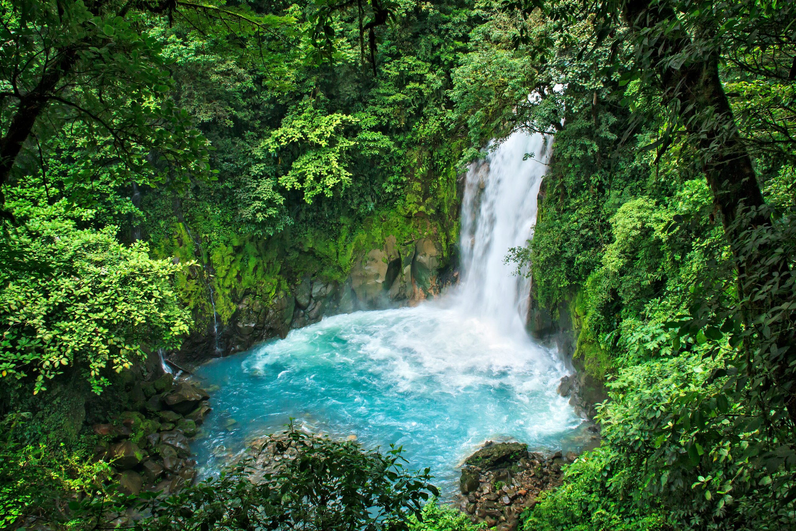 Cascata del Rio Celeste in una piscina turchese nella foresta, tappa del Gran Tour del Costa Rica