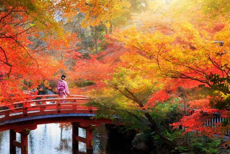 Ponte rosso tra gli aceri in autunno a Kyoto, cosa vedere in un viaggio in Giappone