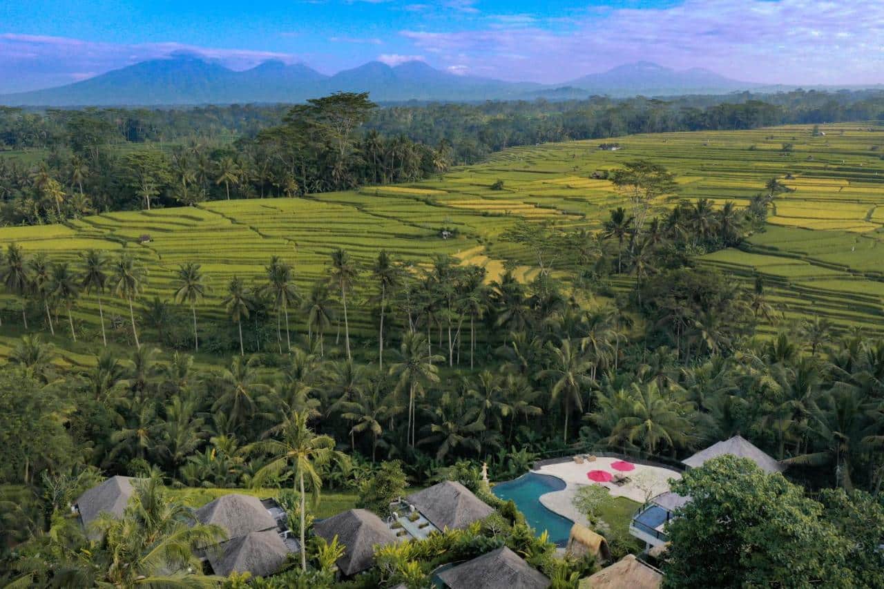 Risaie a terrazza e palme con i vulcani all'orizzonte, Ubud, Bali