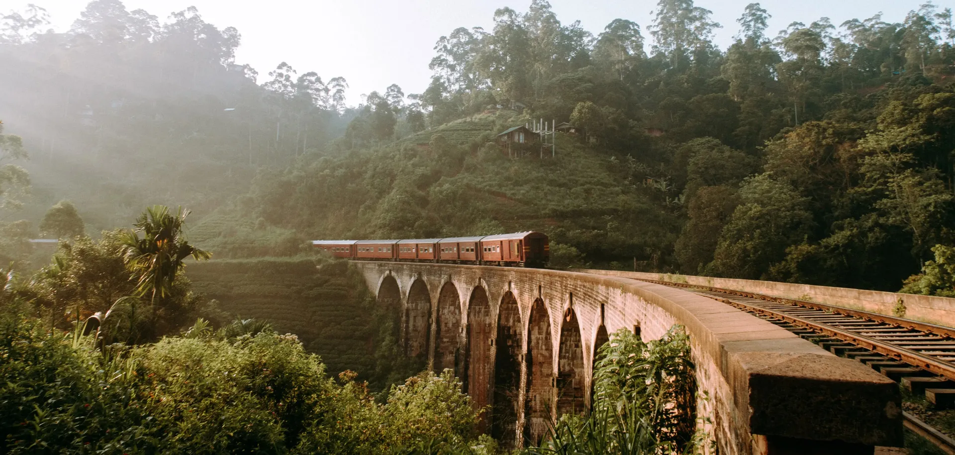 Viaggi in Sri Lanka