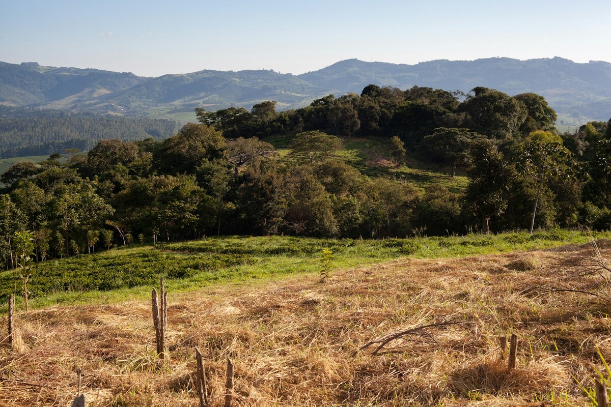 Colline verdi e pascoli della Valle Centrale vicino a San José, Costa Rica